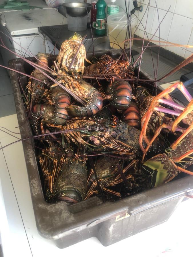 Paraiso Dos Corais Guarajuba Exteriör bild